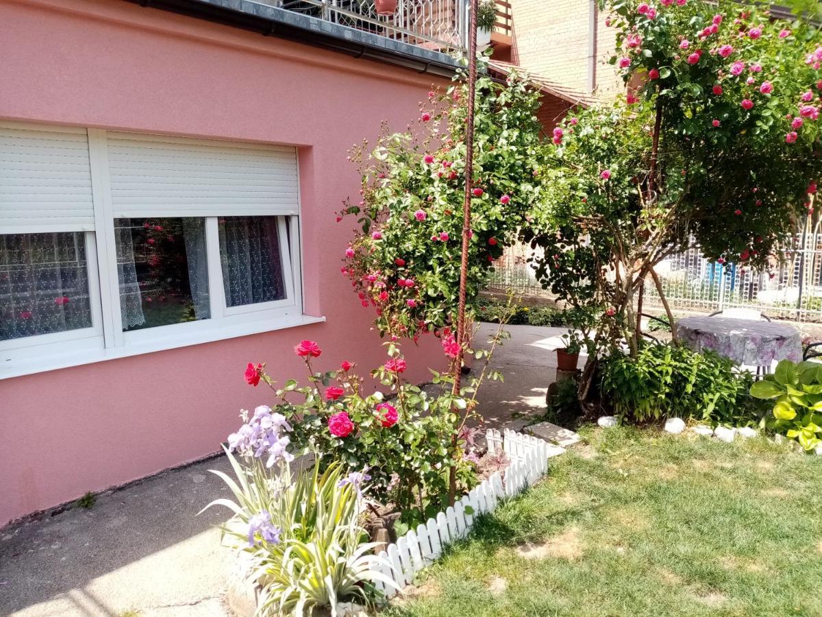 Apartman Vesna Ovcar Banja Exterior foto